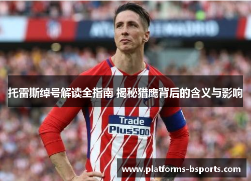 托雷斯绰号解读全指南 揭秘猎鹰背后的含义与影响