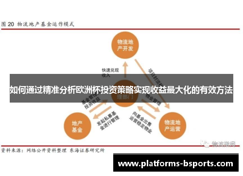 如何通过精准分析欧洲杯投资策略实现收益最大化的有效方法