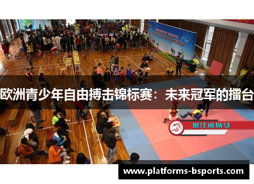 欧洲青少年自由搏击锦标赛：未来冠军的擂台