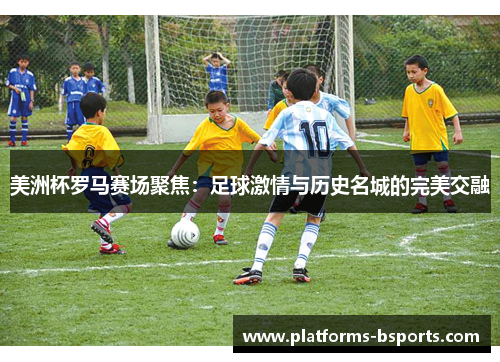 美洲杯罗马赛场聚焦：足球激情与历史名城的完美交融